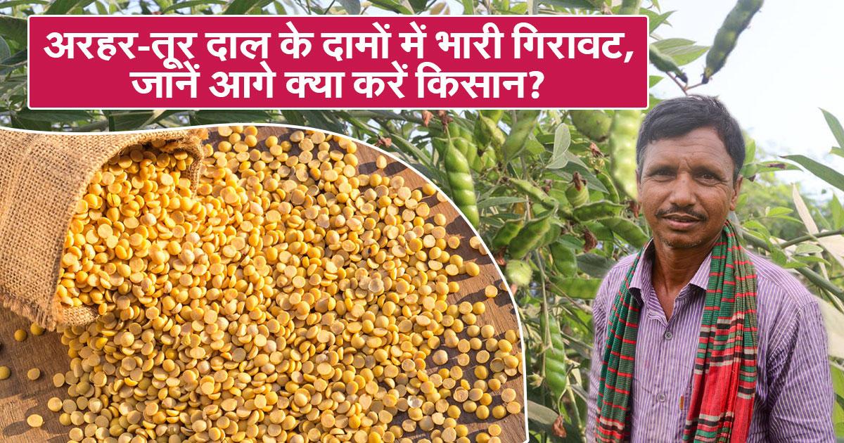 अरहर-तूर दाल