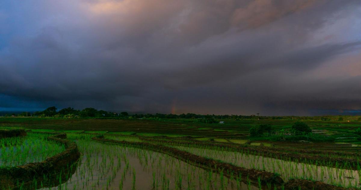 यूपी में बारिश और ठंडी हवाओं की एंट्री