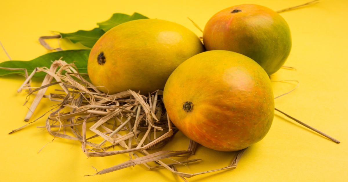 Mango Festival