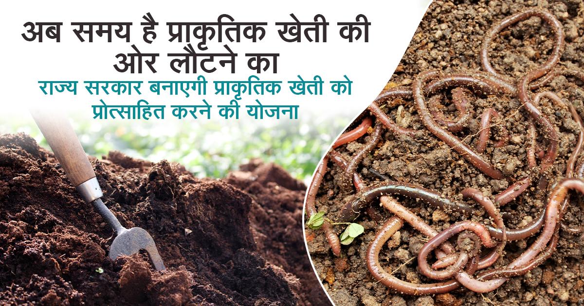 प्राकृतिक खेती