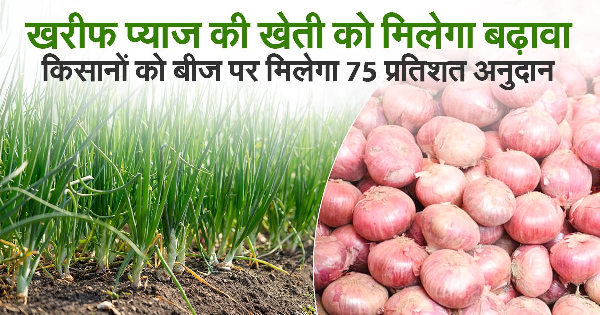 Kharif Onion Area Expansion Scheme