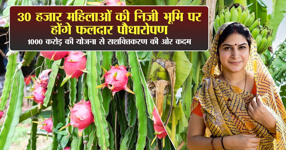 Ek Bagiya Maa Ke Naam