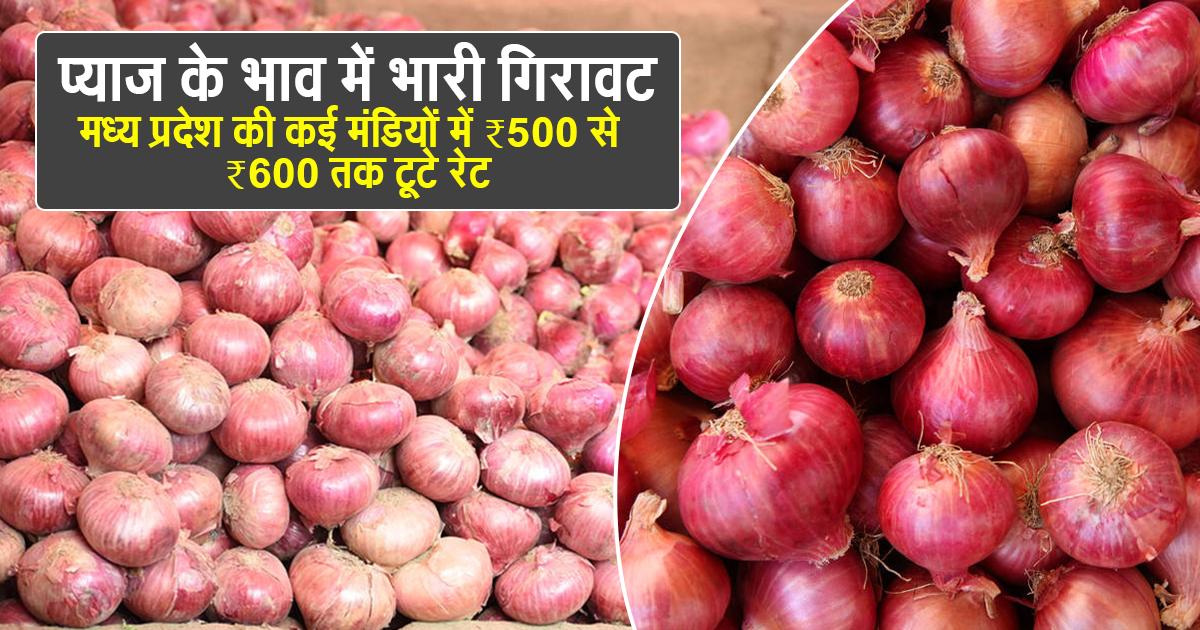 आज का प्याज का भाव