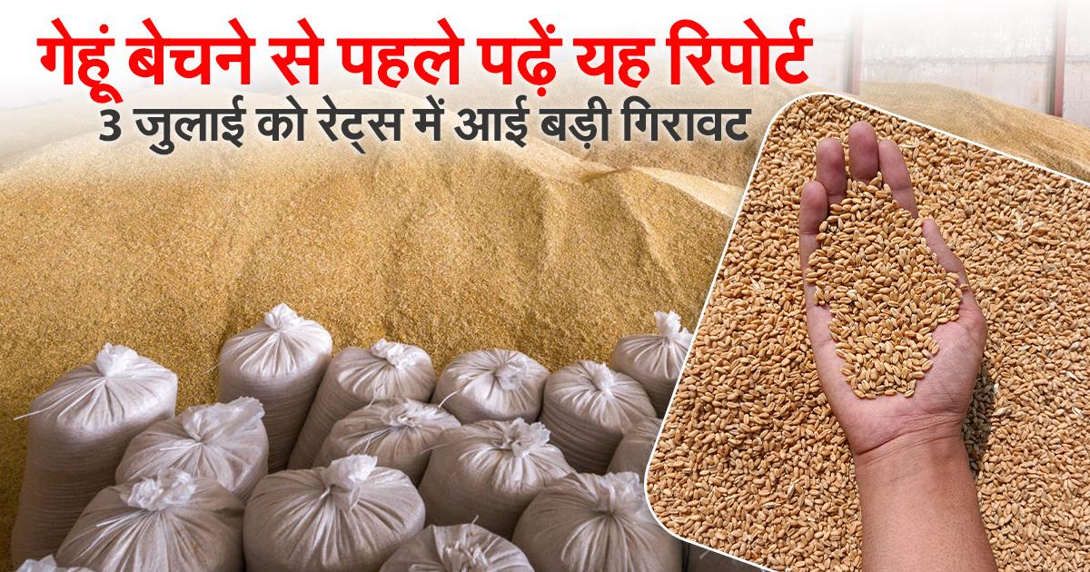 गेहूं का मंडी भाव आज का