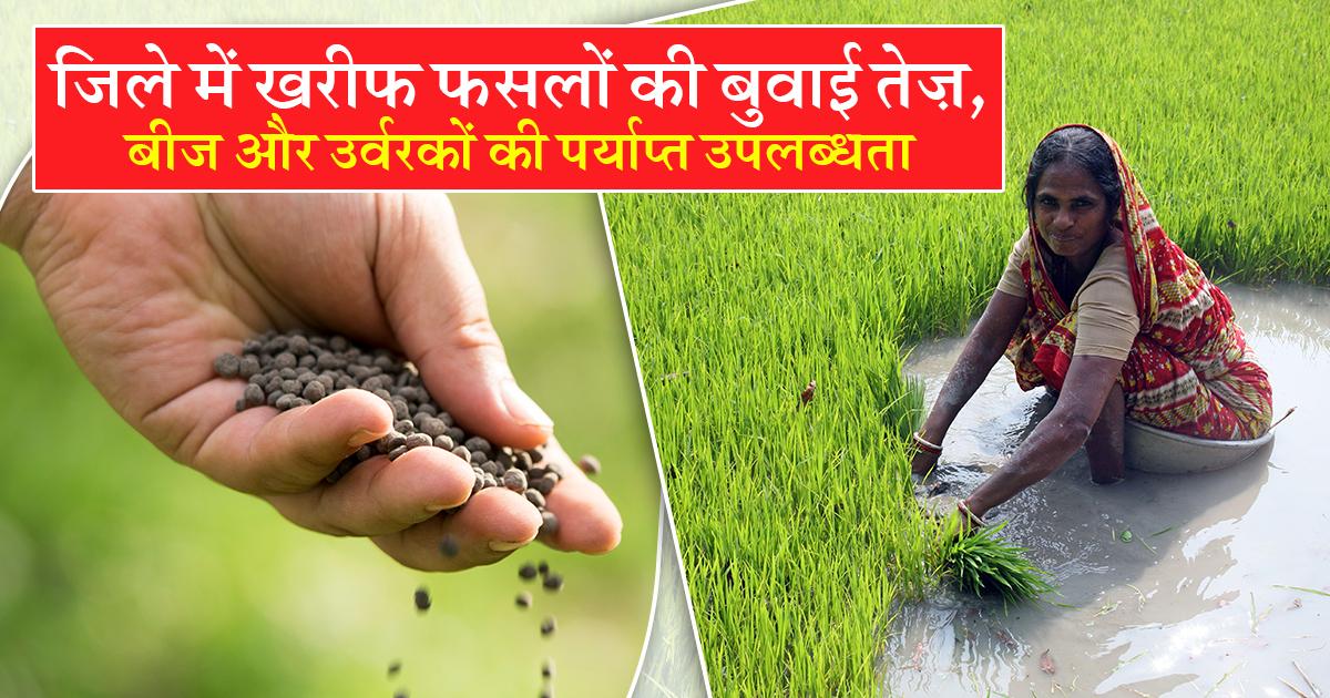 Kharif crops