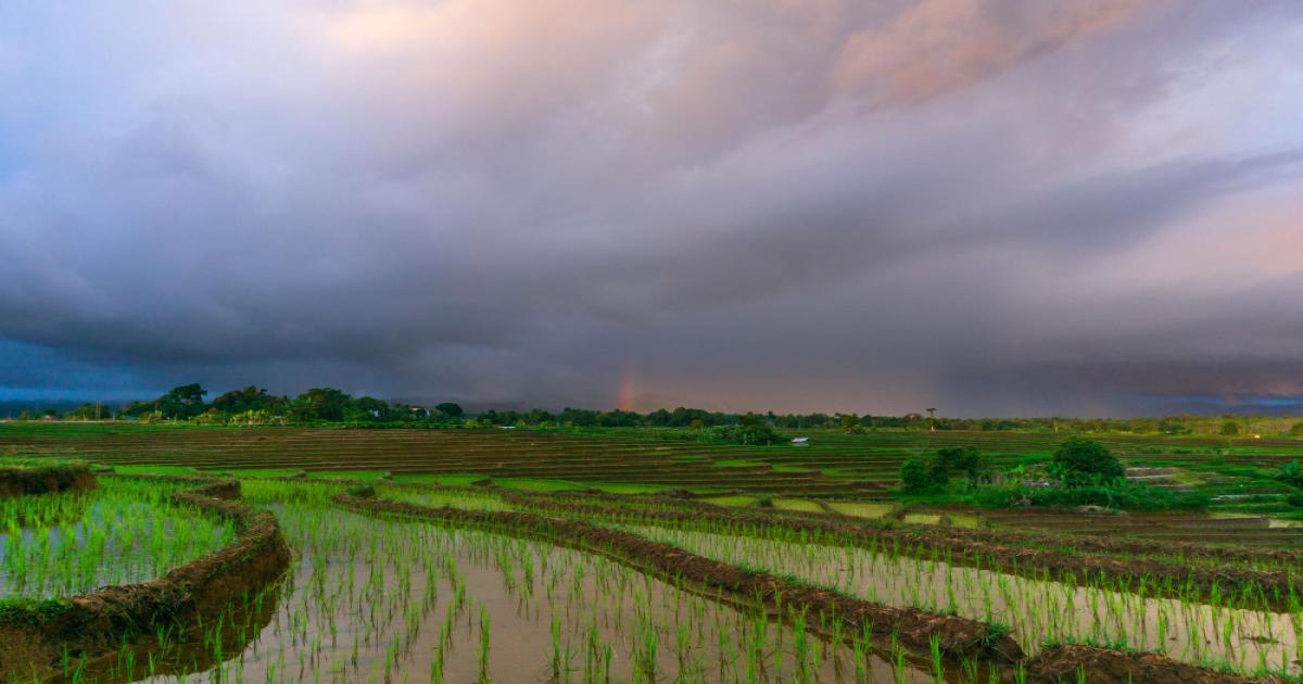 भारी बारिश अलर्ट भारी बारिश अलर्ट