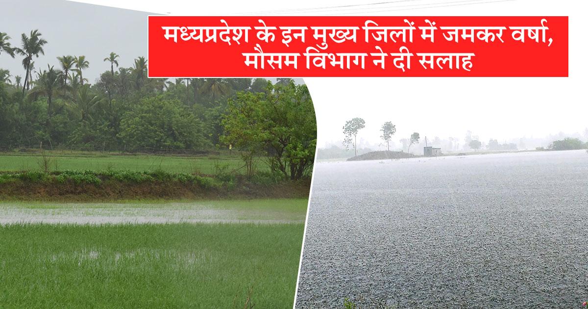 MP के किसानों के लिए मौसम विभाग की सलाह