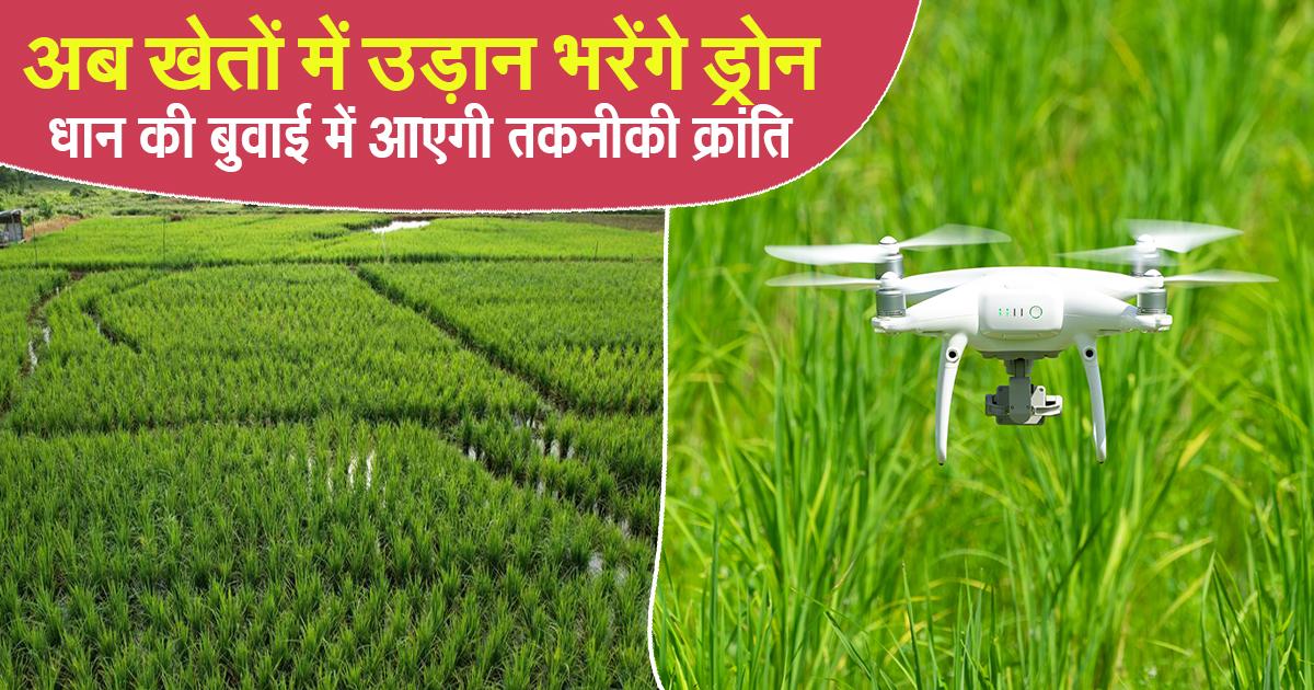 ड्रोन से धान की बुवाई करता किसान