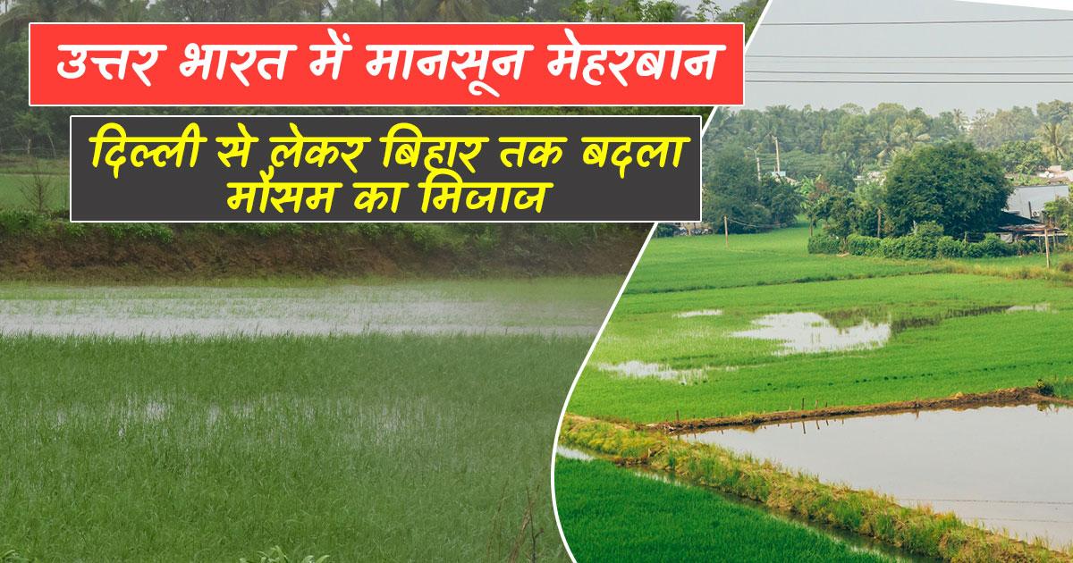 दिल्ली और यूपी में मानसून सक्रिय दिल्ली और यूपी में मानसून सक्रिय