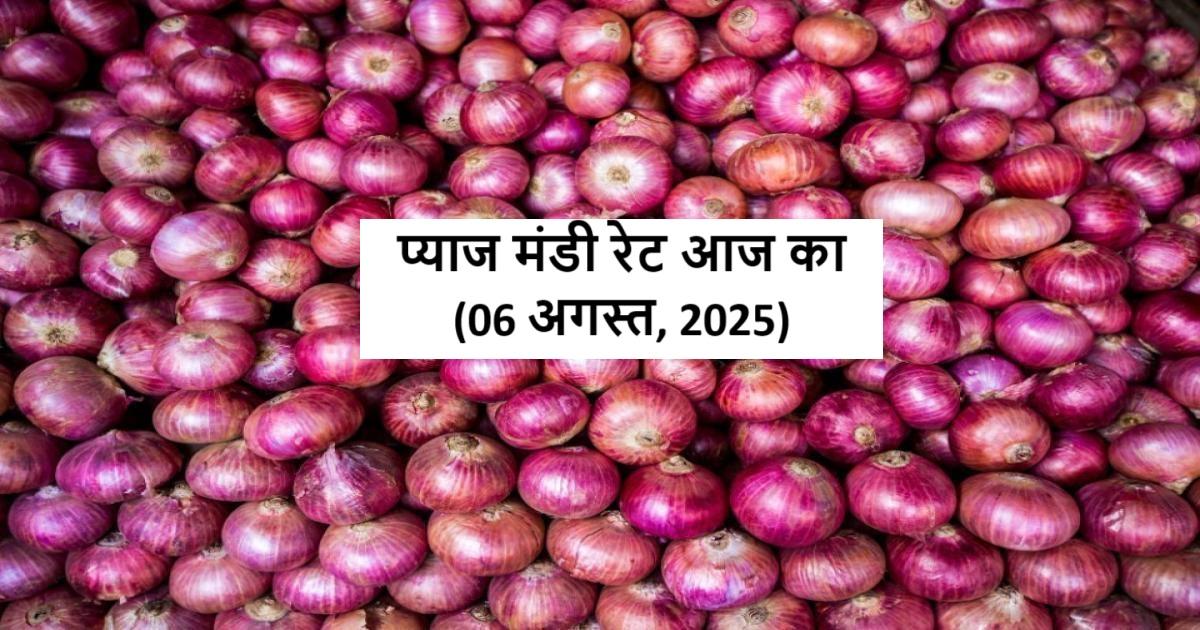 Onion Mandi Rates Today