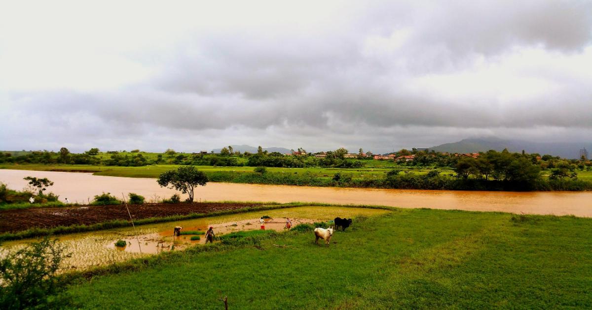 उत्तराखंड में मूसलधार बारिश उत्तराखंड में मूसलधार बारिश