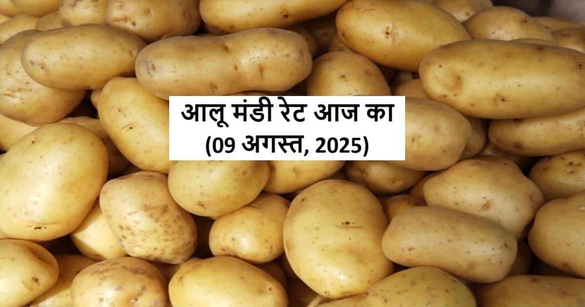 potato mandi rates