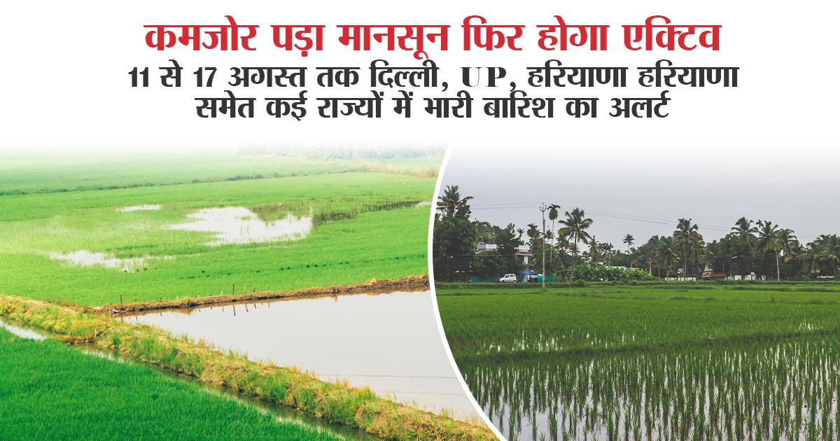 दिल्ली, यूपी, उत्तराखंड समेत कई राज्यों में भारी बारिश का अलर्ट दिल्ली, यूपी, उत्तराखंड समेत कई राज्यों में भारी बारिश का अलर्ट