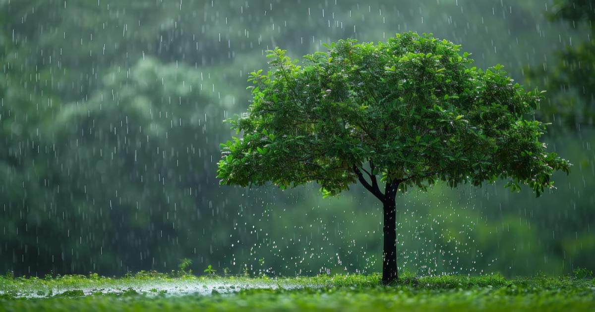 यूपी में मूसलाधार बारिश यूपी में मूसलाधार बारिश