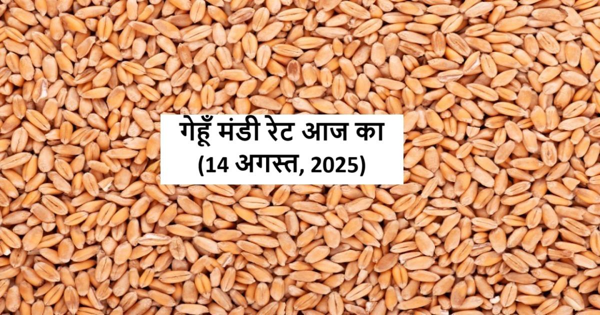 Wheat prices in India’s top mandis