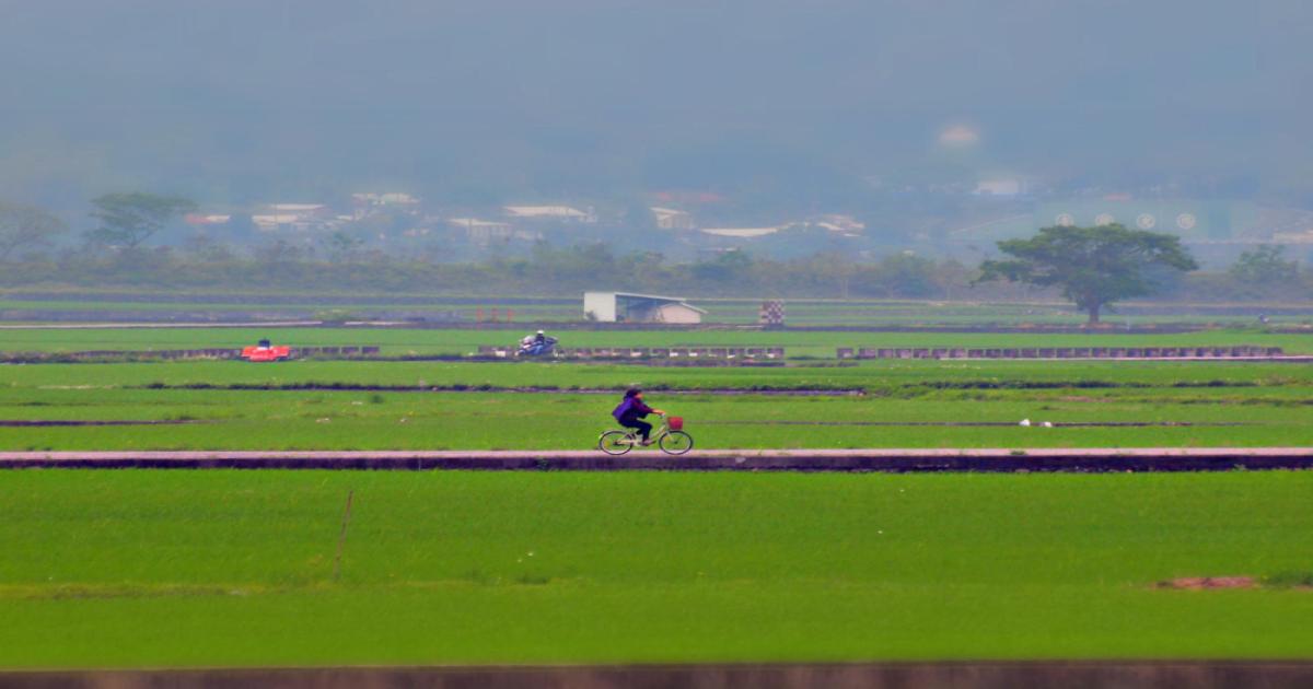 Uttar Pradesh leading the way in modern farming