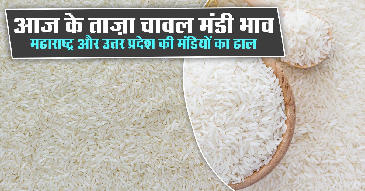 Rice Prices in Uttar Pradesh