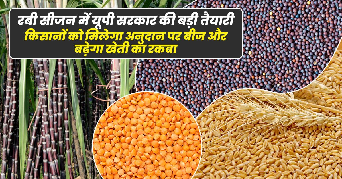 UP farmers to get subsidized seeds for Rabi season 2025