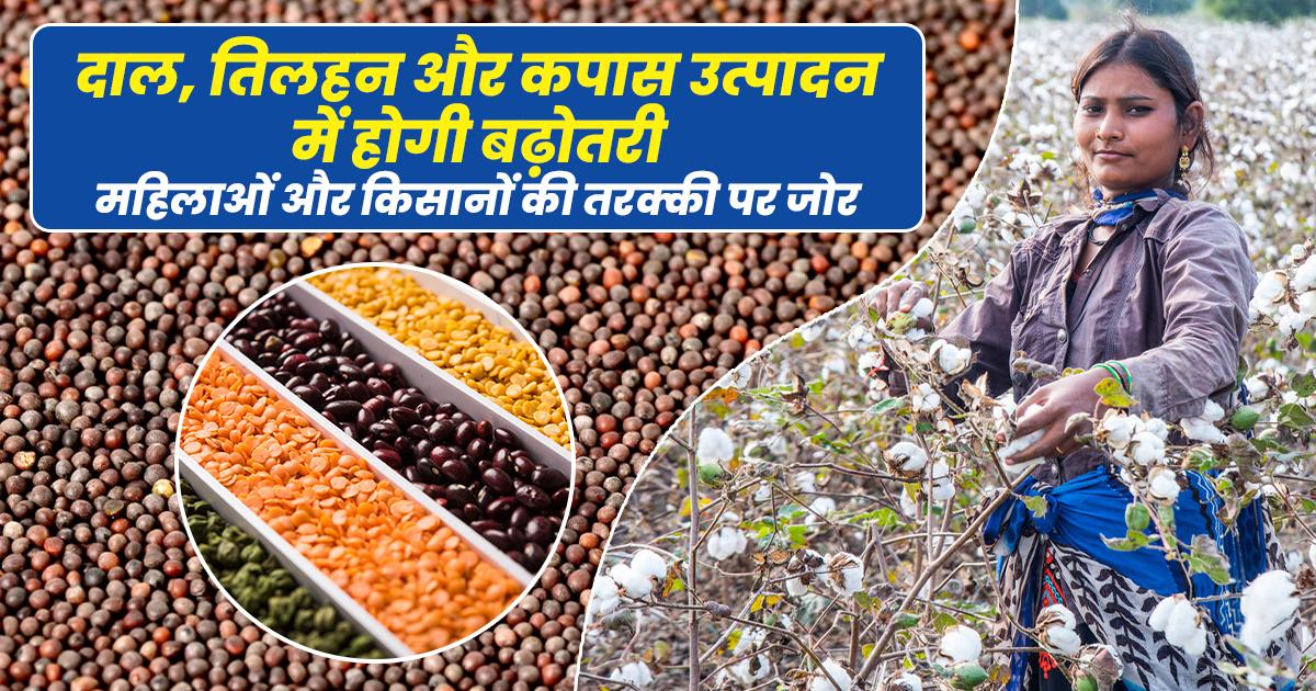 Farmers harvesting cotton and pulses in Indian fields.