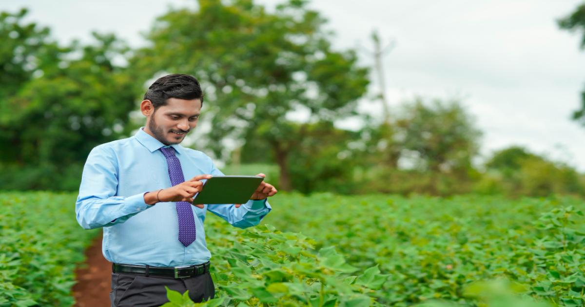 Modern vegetable farming technique