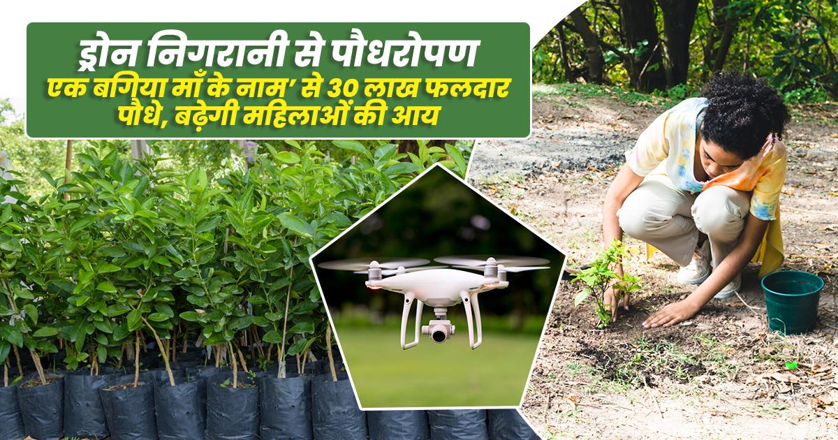 एक बगिया माँ के नाम’ योजना