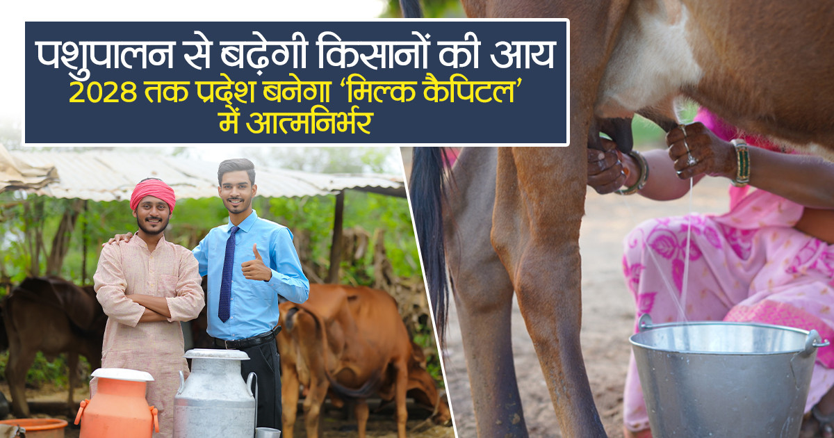 पशुपालन योजना