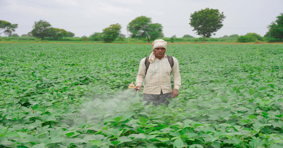 Urea and DAP fertilizers