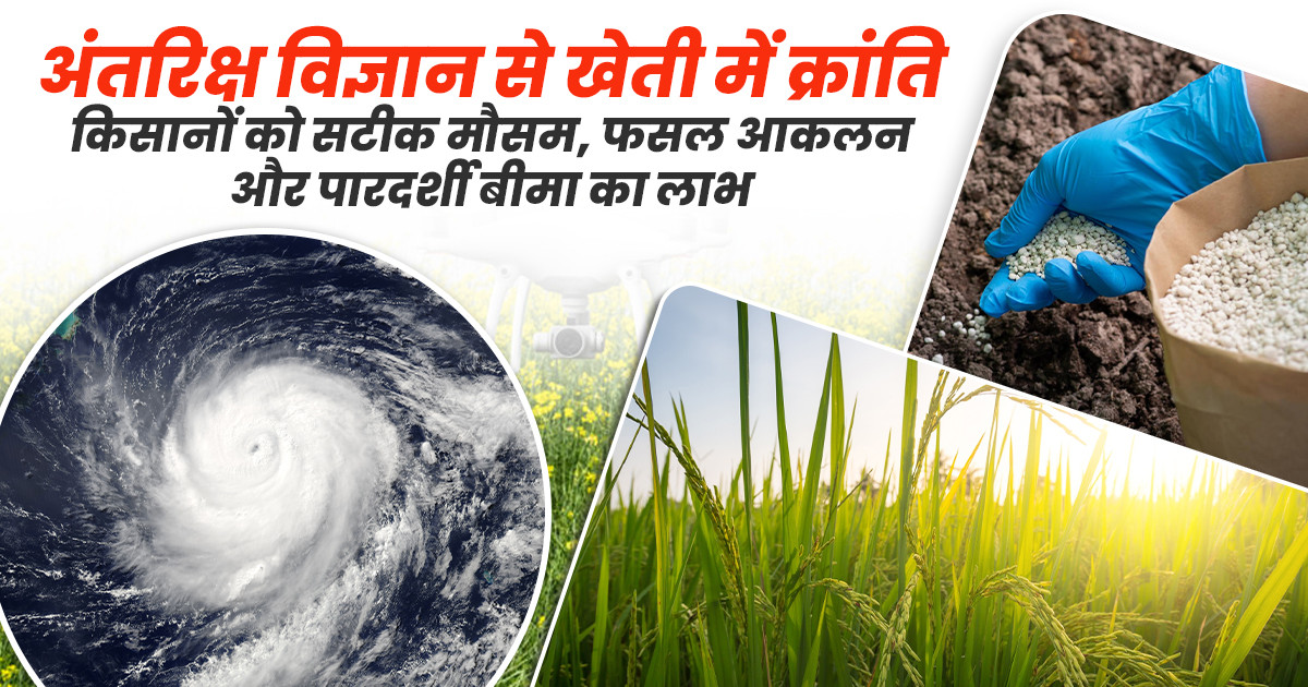 Transparent crop insurance helping farmers protect their yield