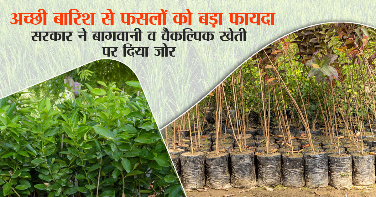 पंजाब के किसानों को मिलेगी पूरी मदद