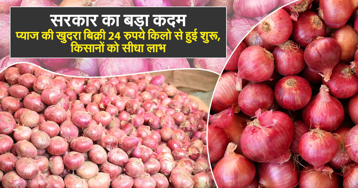 Onion retail sale begins at ₹24 per kg in India.