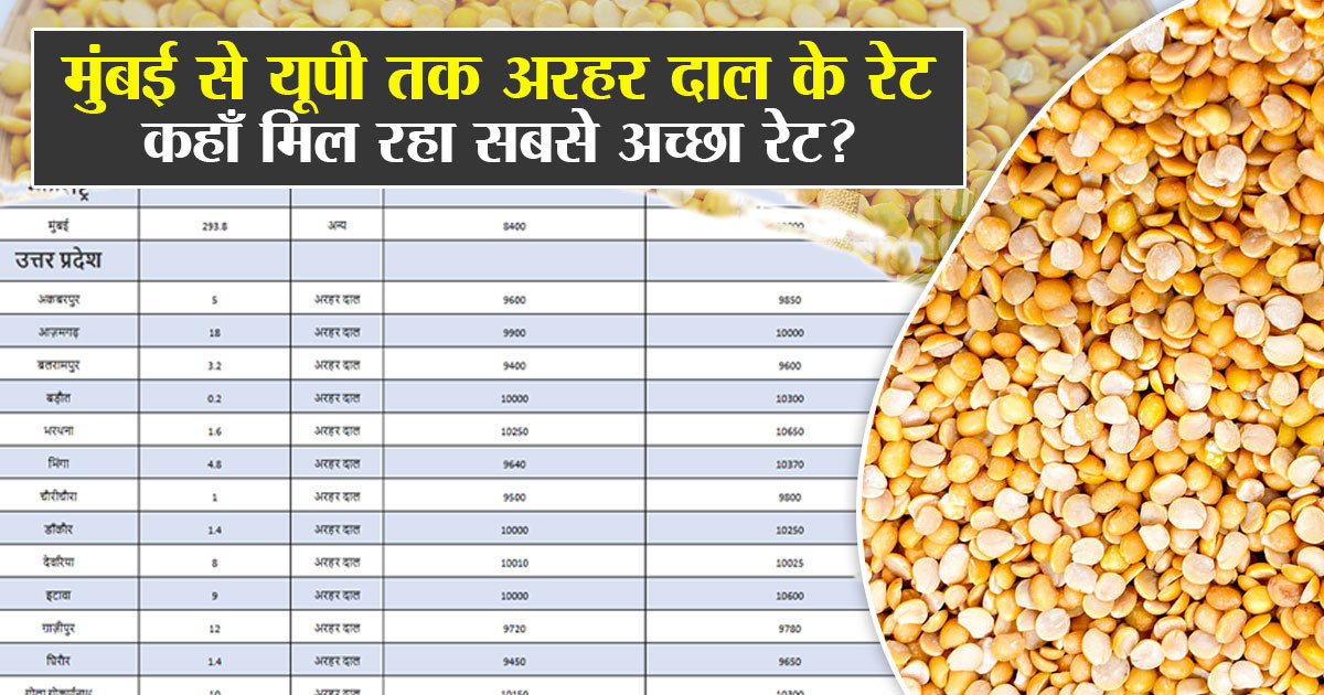 Arhar Dal price  – 10 September 2025
