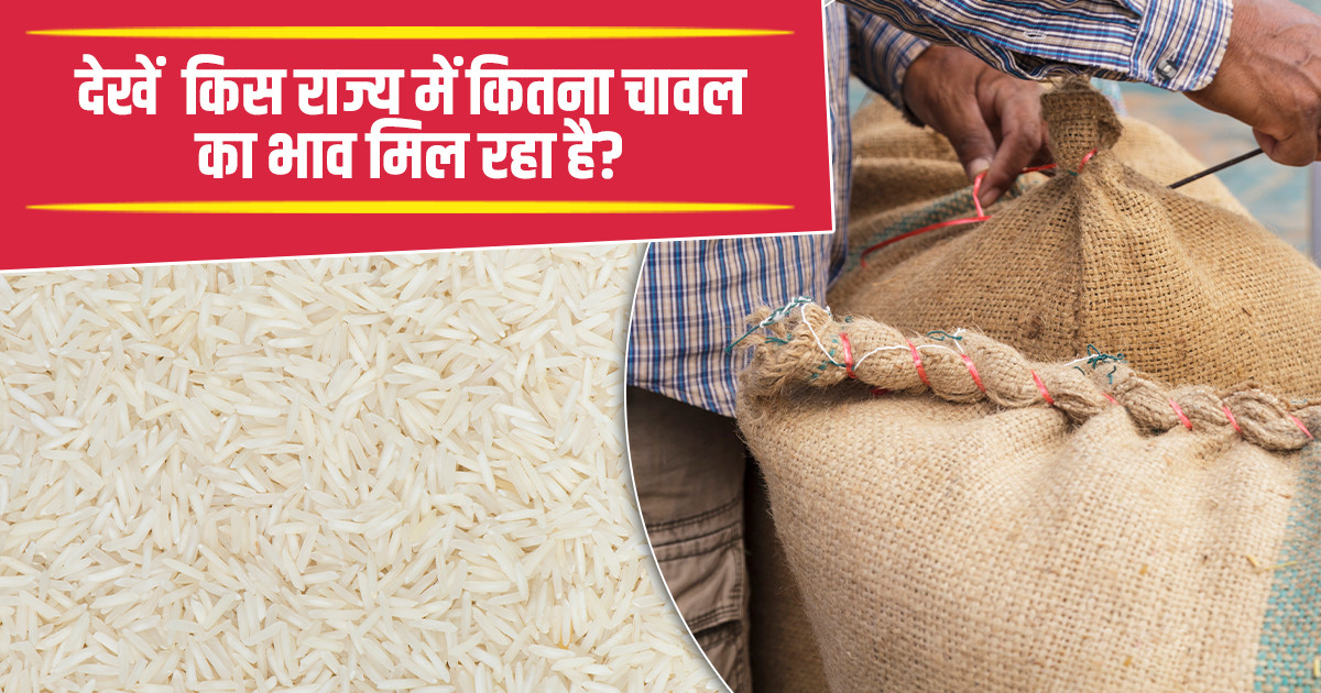 चावल का मंडी भाव आज का