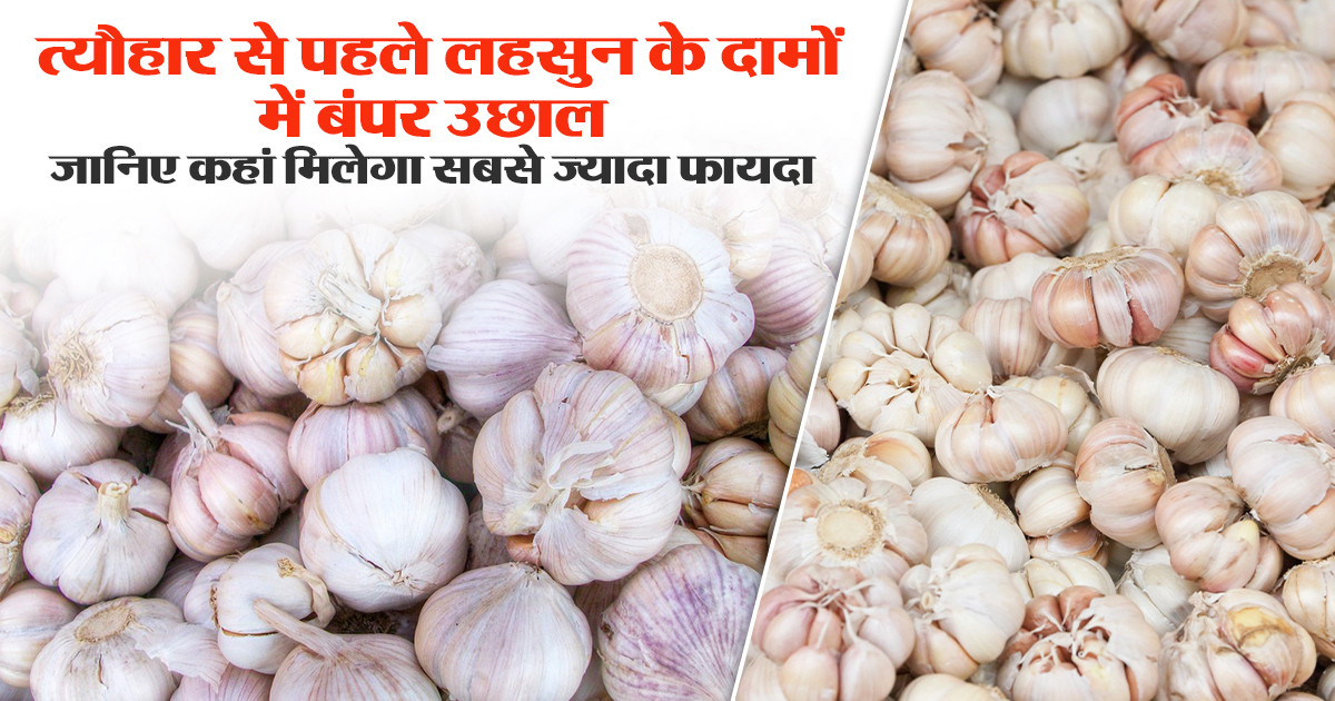 लहसुन का आज का भाव – 19 सितम्बर 2025