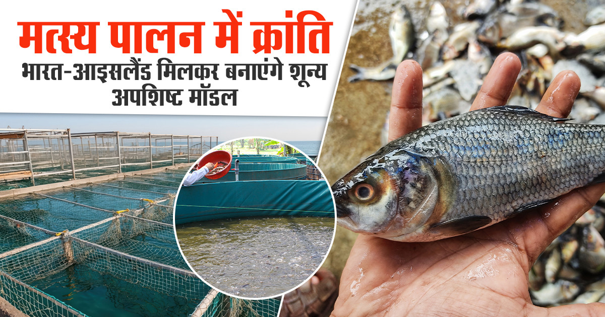 Collaboration on Zero-Waste Fisheries