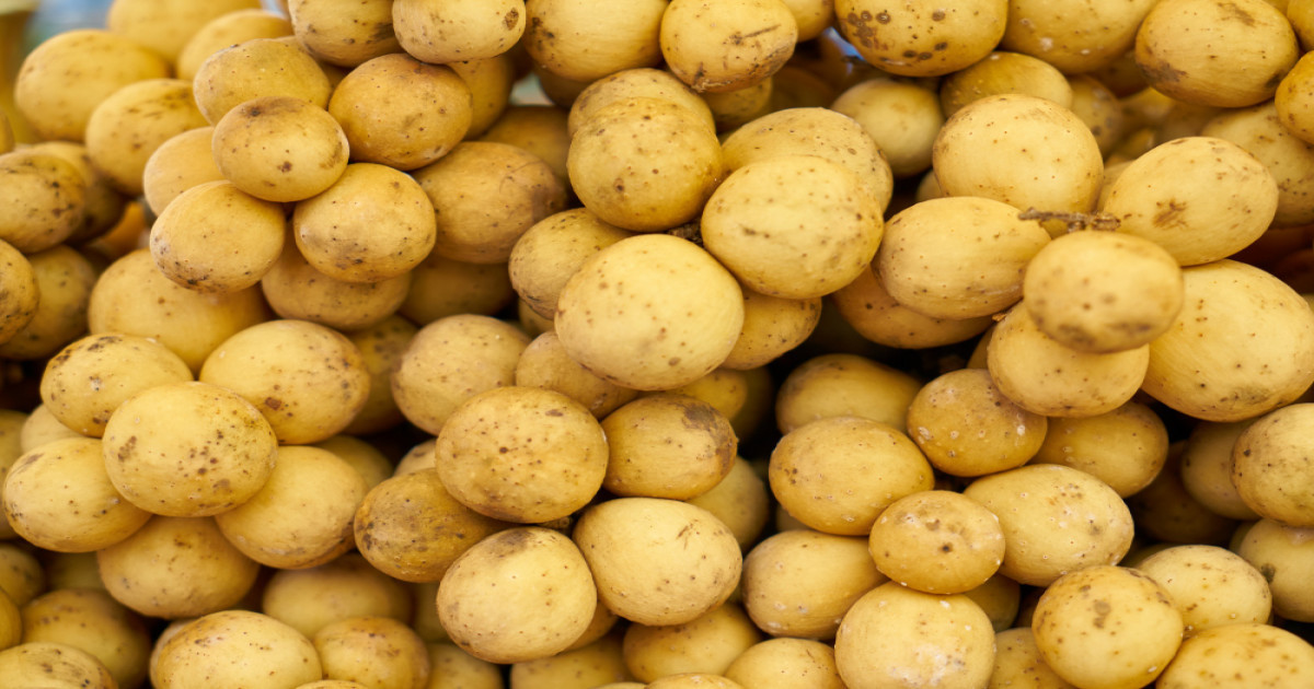 Potato Prices – 28 September 2025