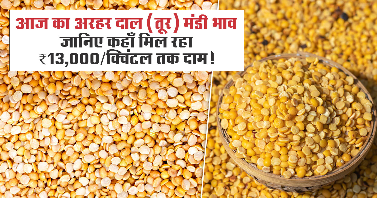Arhar dal rate – 04 Oct 2025
