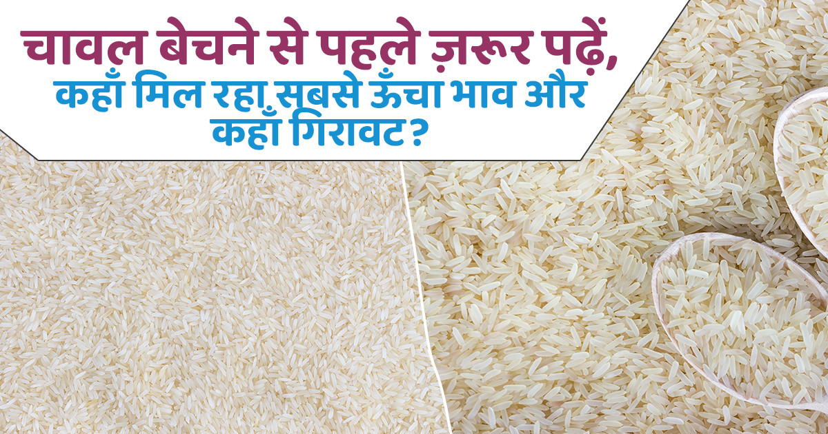 Rice Mandi Rate 06 October 2025