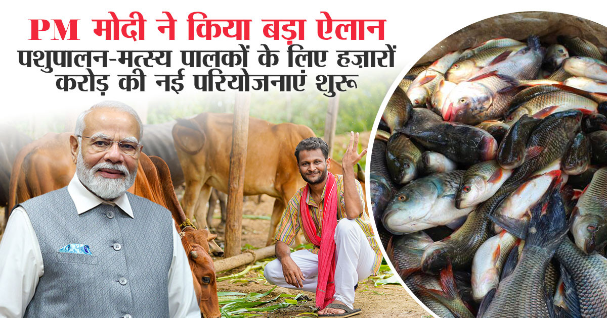 पशुपालन और मत्स्य क्षेत्र में बड़े निवेश