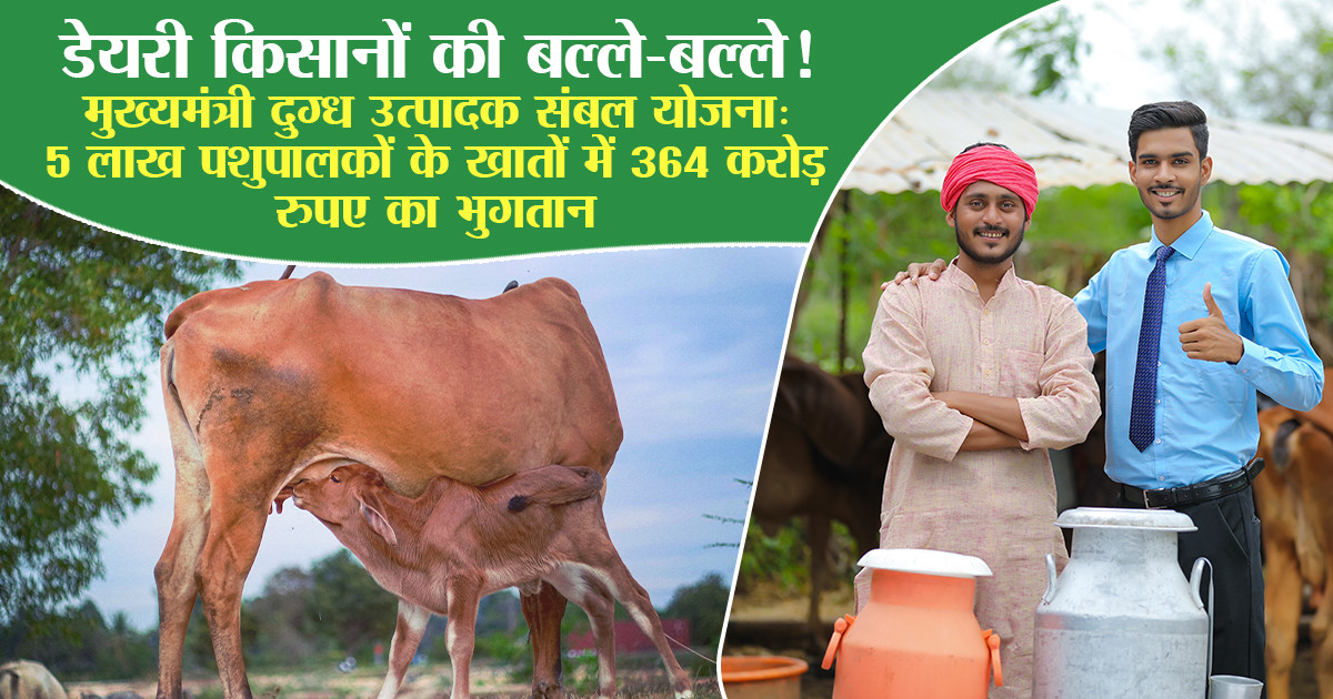 मुख्यमंत्री दुग्ध उत्पादक संबल योजना