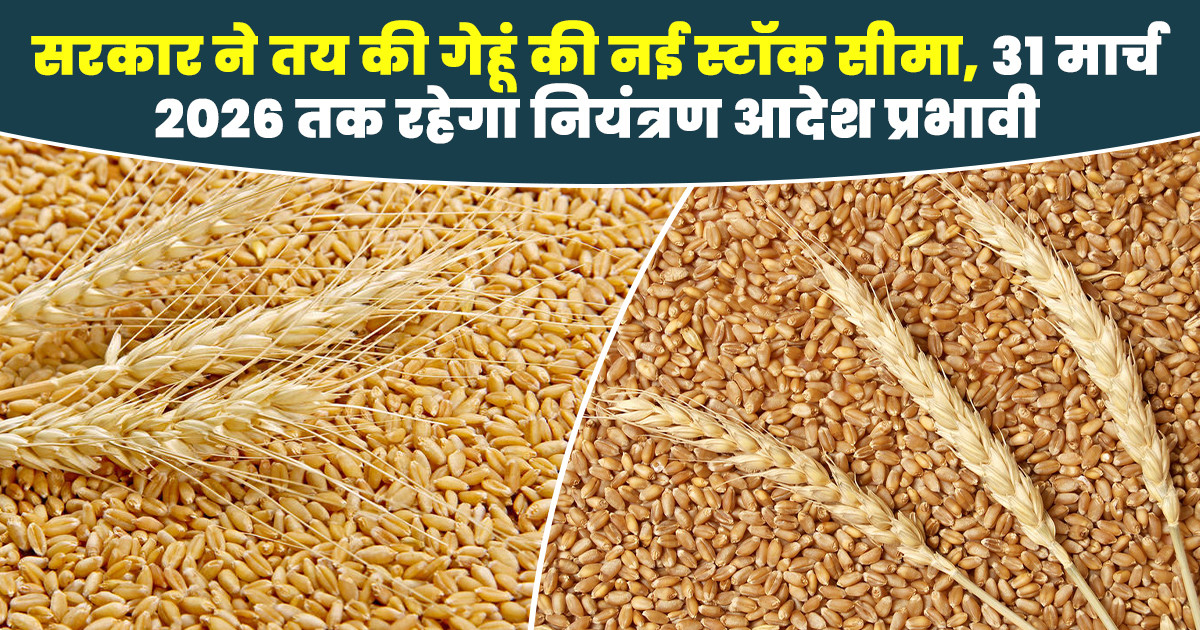Wheat Stock Limit Extended