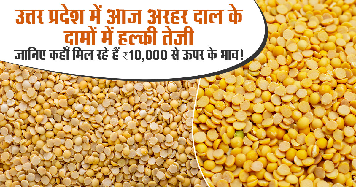 उत्तर प्रदेश में अरहर दाल का भाव 2025