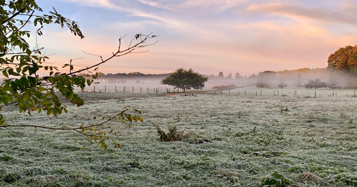 दिल्ली यूपी में सर्दी
