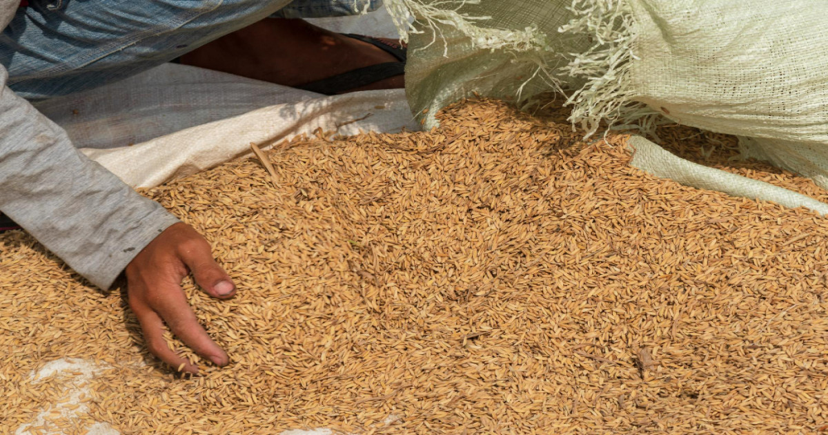 Uttar Pradesh Paddy Milling Relief Package