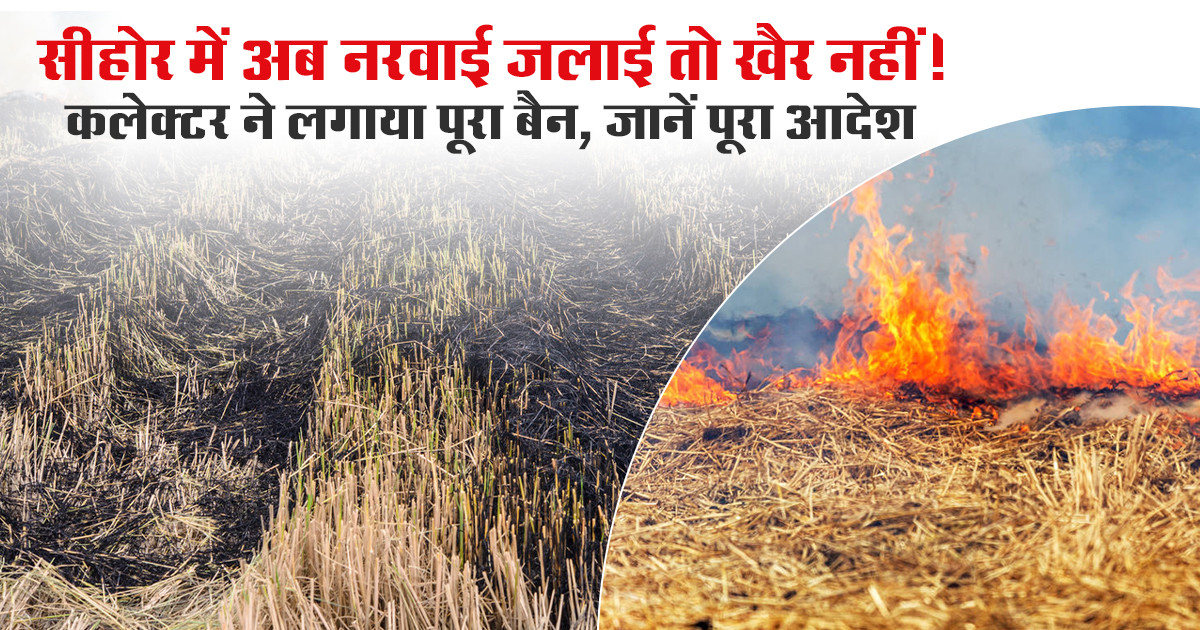 सीहोर जिले में नरवाई जलाने पर रोक