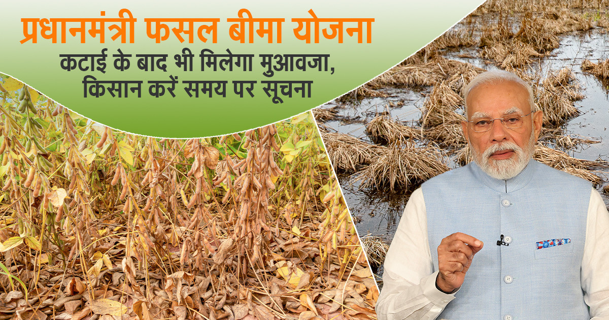 प्रधानमंत्री फसल बीमा योजना