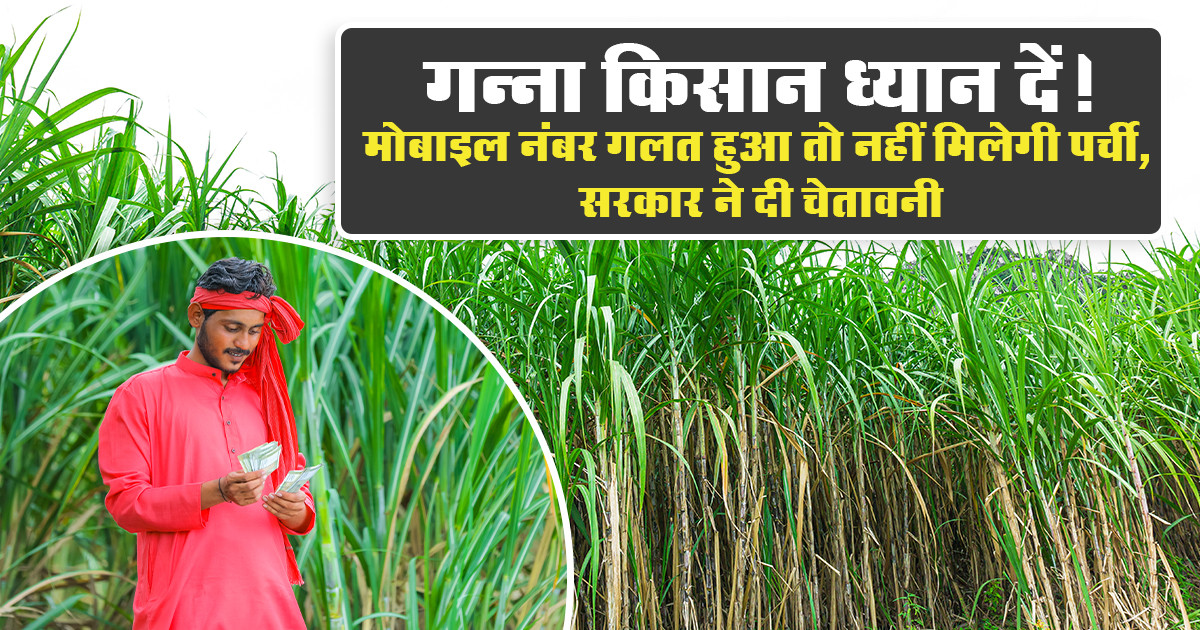 UP Ganna Parchi 2025-26