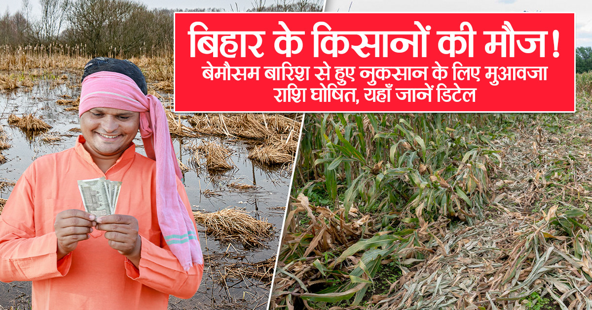 मोन्था चक्रवात फसल नुकसान