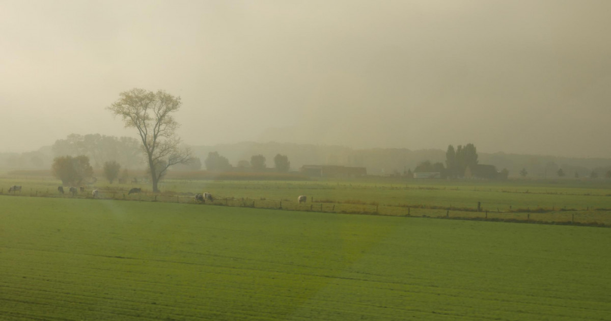 Delhi-NCR air pollution