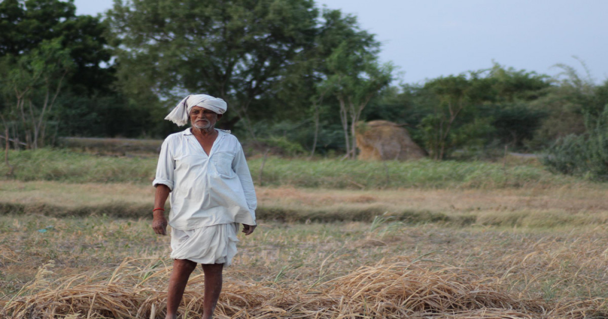 शीतलहर का अलर्ट