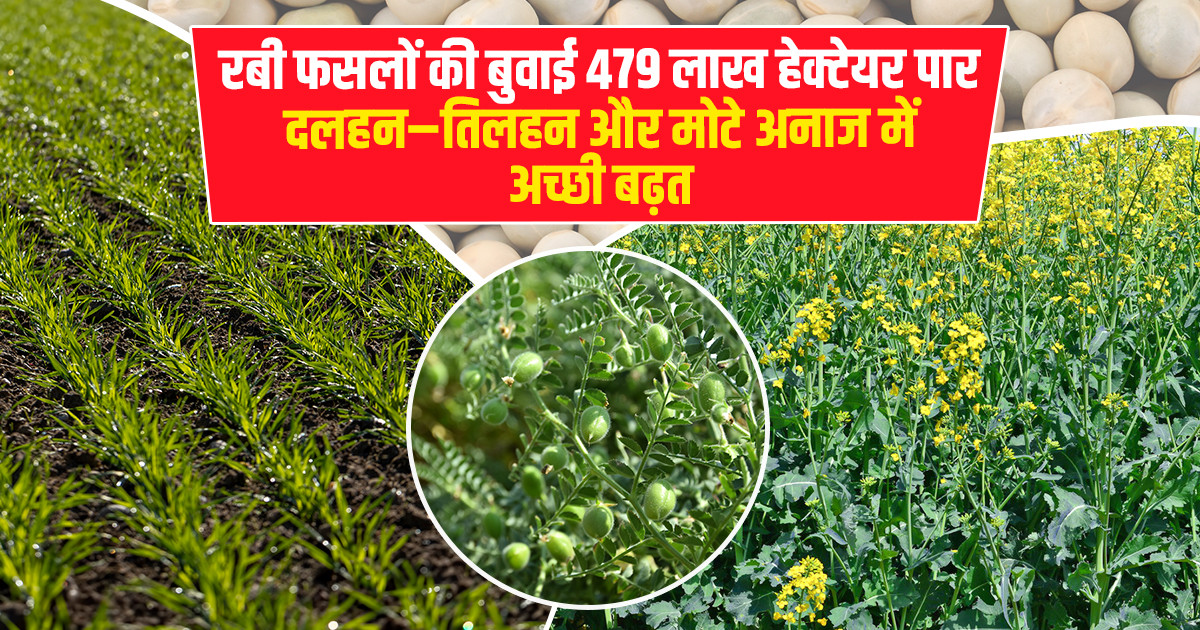 Rabi Sowing Report 2025